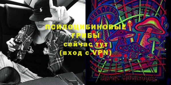 индика Белокуриха