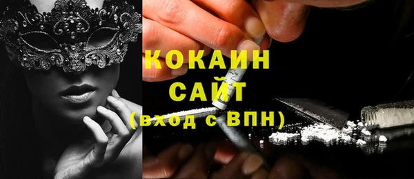индика Белокуриха