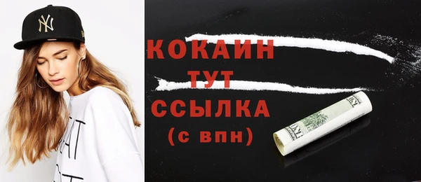 индика Белокуриха