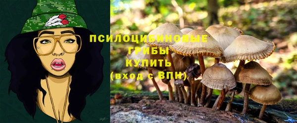 индика Белокуриха