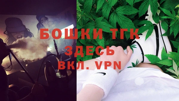 индика Белокуриха