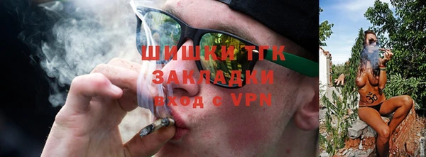индика Белокуриха