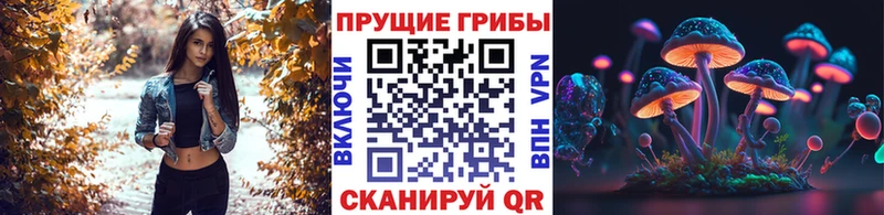 ссылка на мегу ТОР  даркнет сайт  Гусев  Галлюциногенные грибы Psilocybine cubensis 